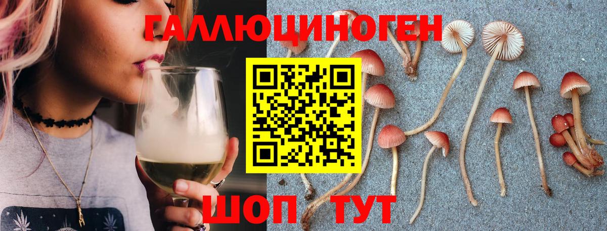 Белебей  Псилоцибиновые грибы Psilocybe  Вход с VPN 